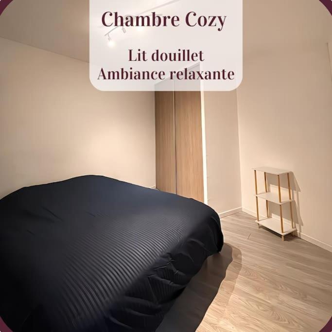 Appartement 2 Pieces Rdc En Duplex Vue Cour Parking Gratuit A 20Metres Roanne Eksteriør billede