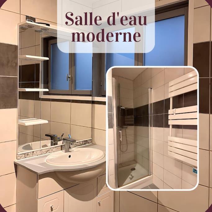Appartement 2 Pieces Rdc En Duplex Vue Cour Parking Gratuit A 20Metres Roanne Eksteriør billede